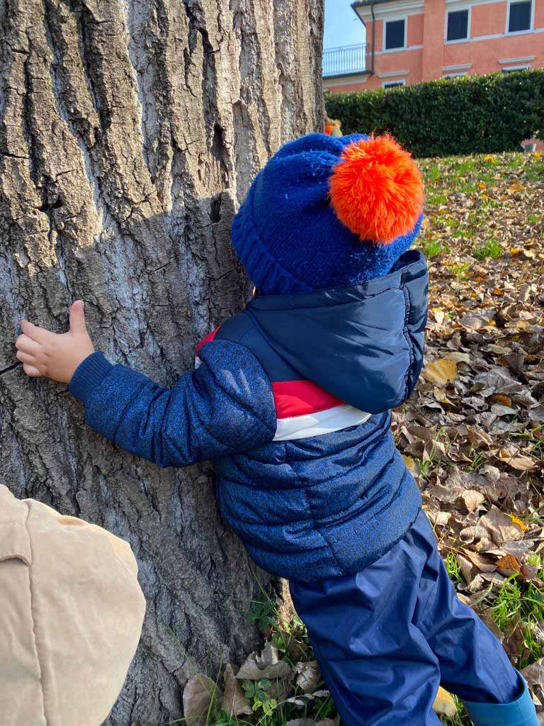 Bambino abbraccia un albero